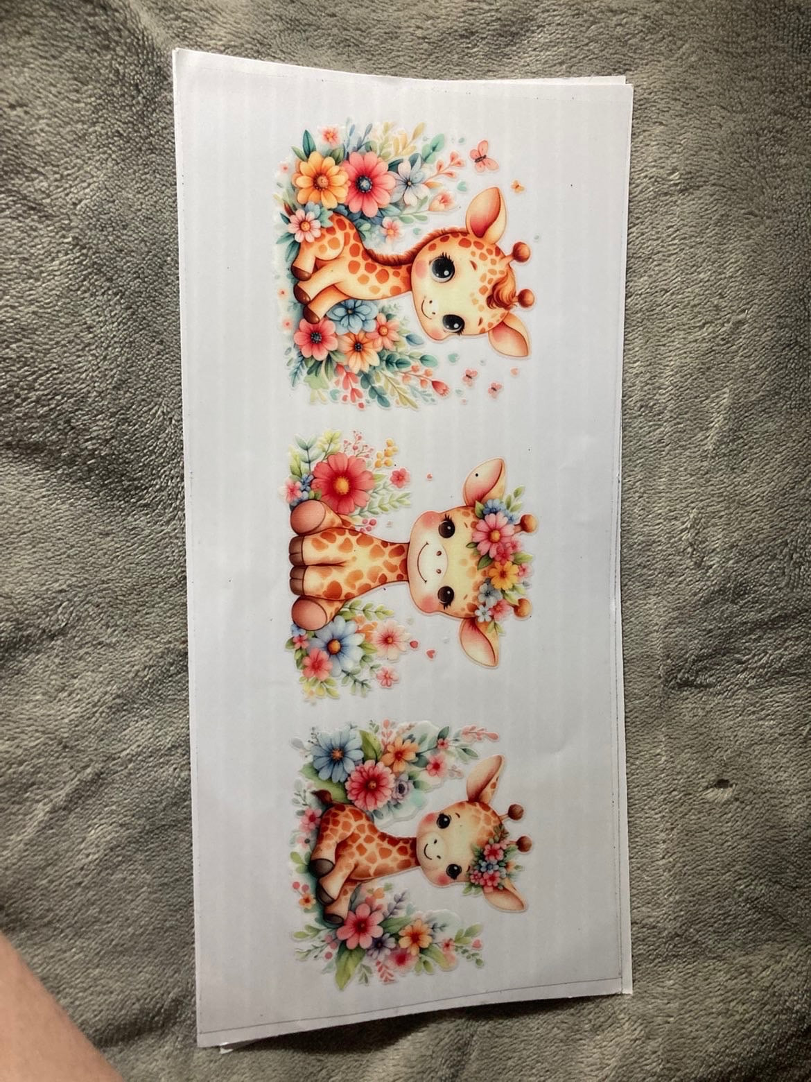 wraps